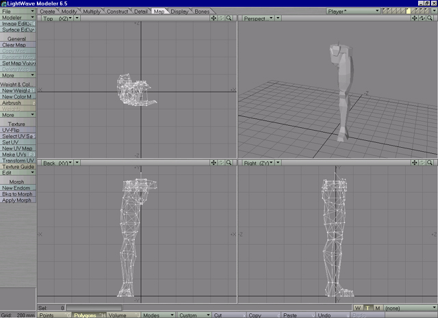 Lightwave with a Leg-Model